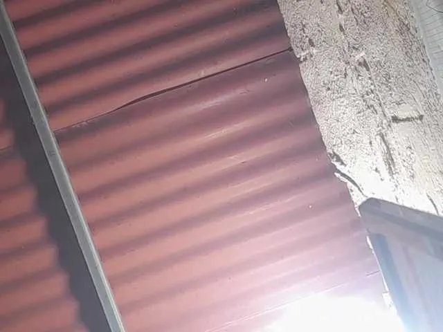 chizuqui-25 from BongaCams