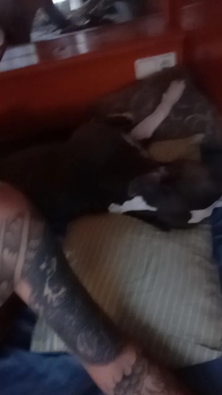 Discover naked stripper Gorka19hot gorka19hot from Cam4