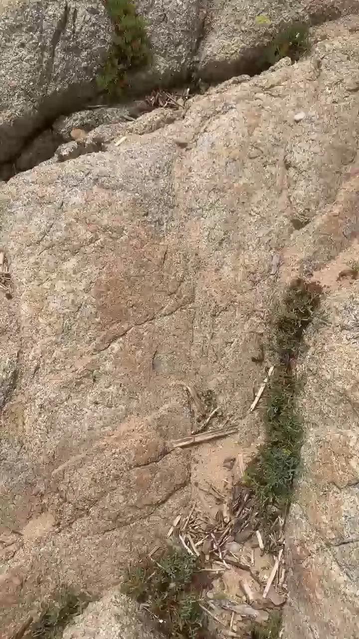 Try naked camwhore Joueurh Joueurh from Cam4