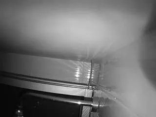 Offline voyeurcam-jb-shower-1 on CamSoda