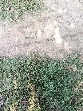 Watch 23 years old Mehta_seema from StripChat Mehta_seema from StripChat