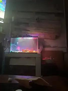 Watch StripChat's Stillhard8925 Stillhard8925 from StripChat