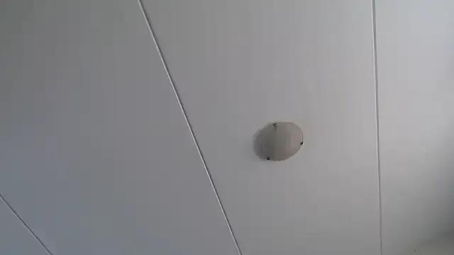 StupidNaturalPhatBooty_ from StripChat