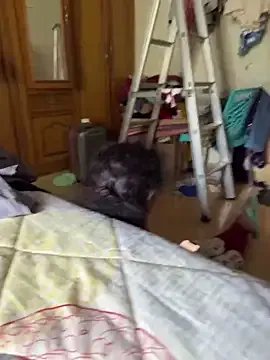 StripChat TeddyLover5 TeddyLover5 from StripChat